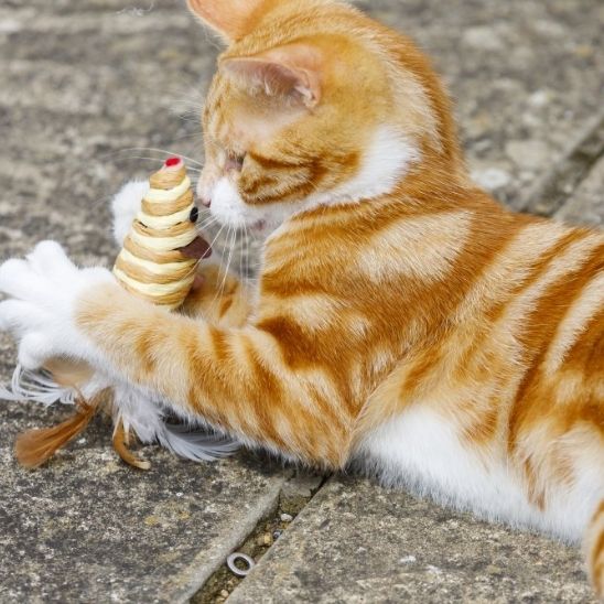 souris-en-sisal