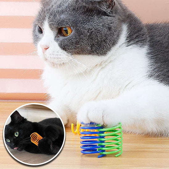 spring-pour-chat