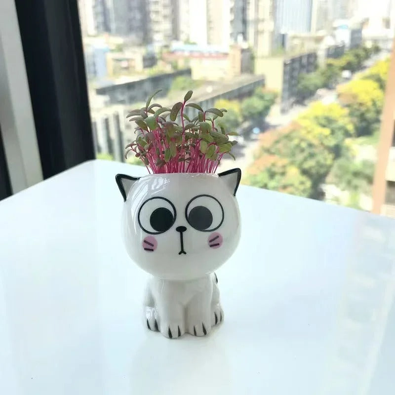 🪴Pots de fleurs Meow™🪴