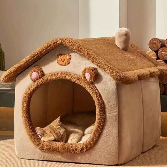 Créer un environnement idéal pour votre chat