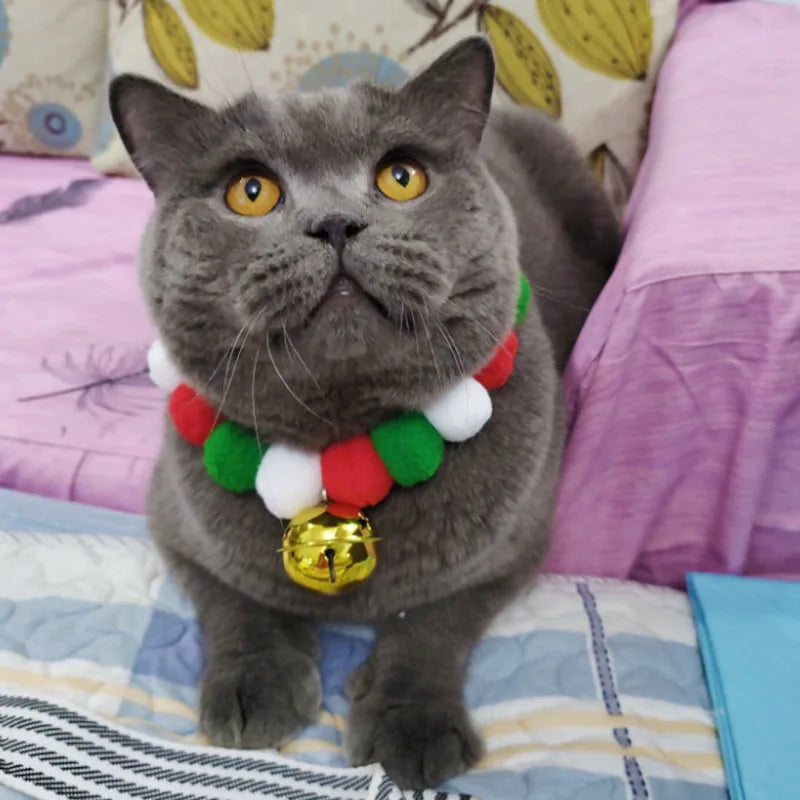 Collier pour chat | Jingle Cat 🎄🐱🎀