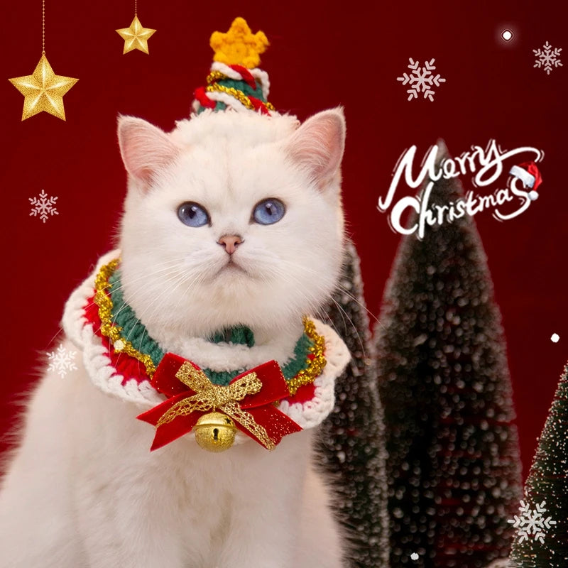 Déguisement pour chat | Adorable Star