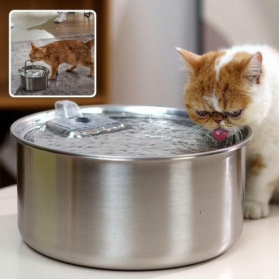 Abreuvoir-chat