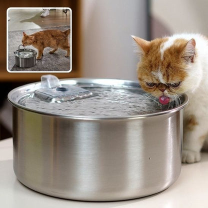 Abreuvoir-chat