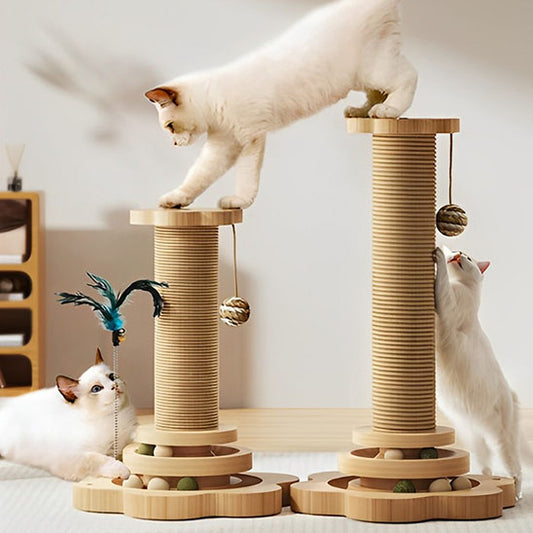 Arbre-a-chat-grandeurs