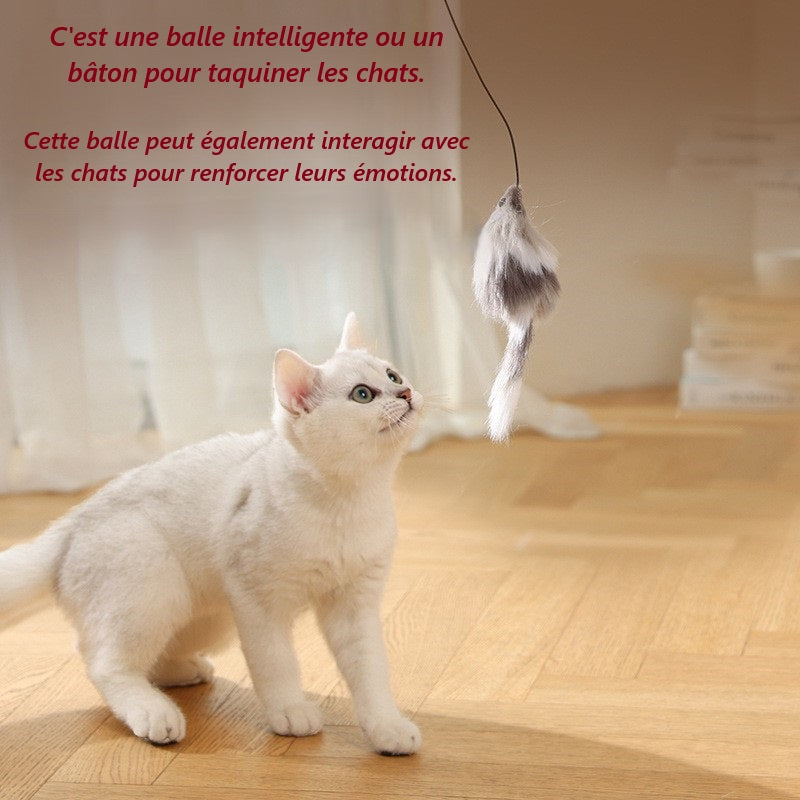 Balle-CatchTheMouse