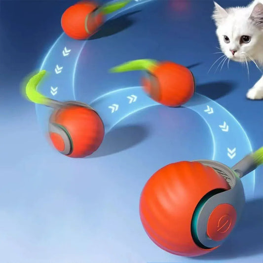 Balle-qui-bouge-pour chat