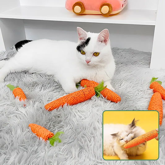 bâton-carrotte-pour-chat