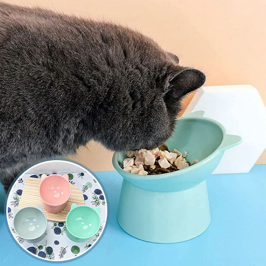 Bol-pour-chat