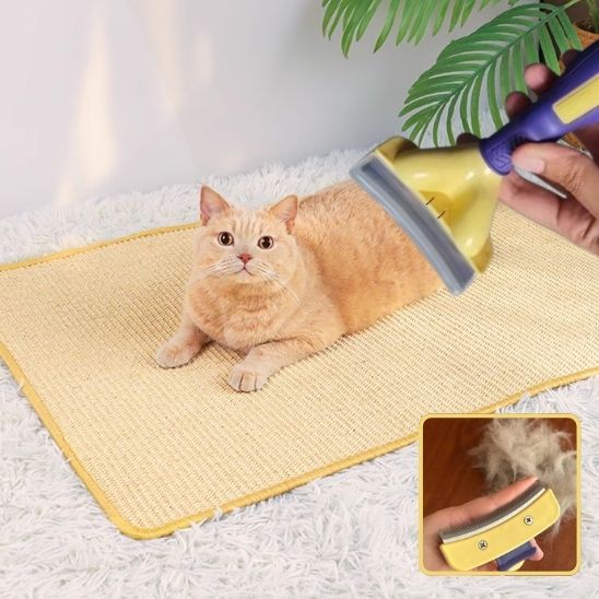 brosse-ergonomique-pour-chat