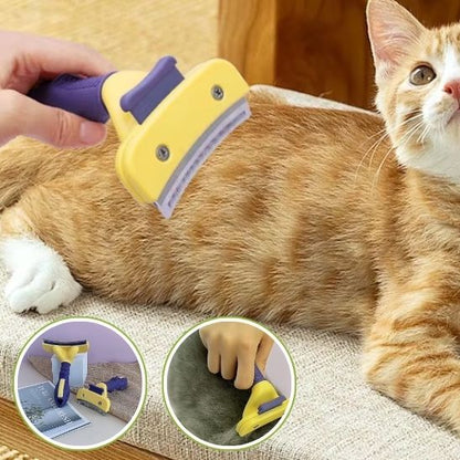 Brosse-ergonomique-chat