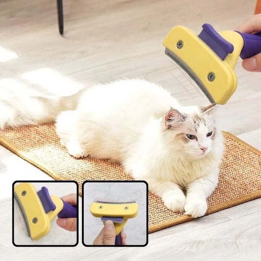brosse-chat-egernomique