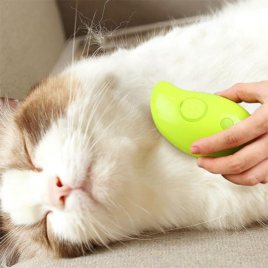 Brosse à vapeur pour chat | Brosse