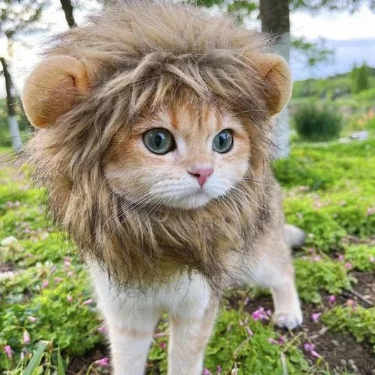 chapeau-lion