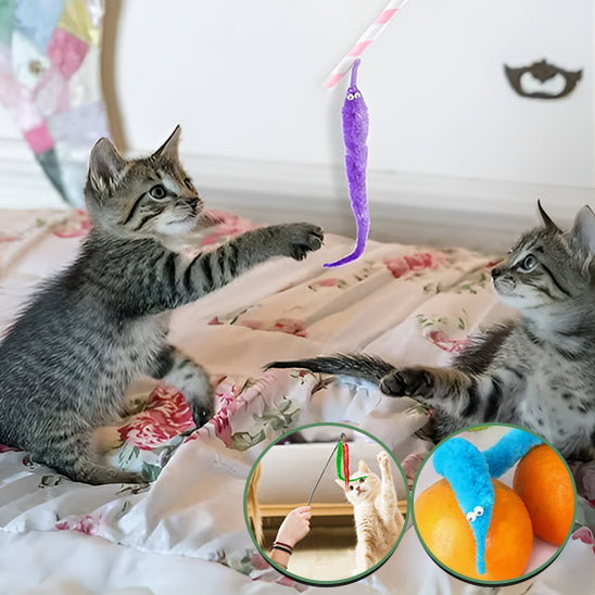 chatons-s'amuse-avec -vers