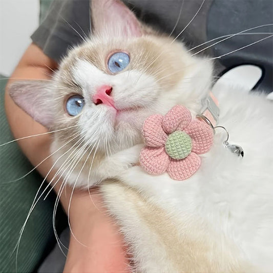 Passion Floral™ | Collier pour chat