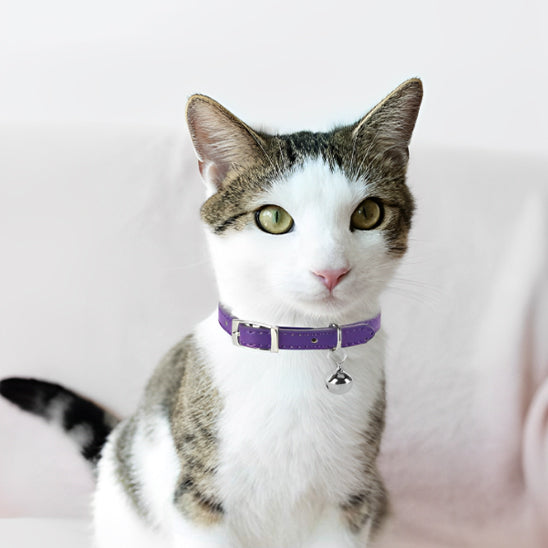 😸Collier Pour Chat Avec Clochette😸