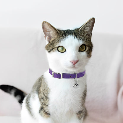 😸Collier Pour Chat Avec Clochette😸