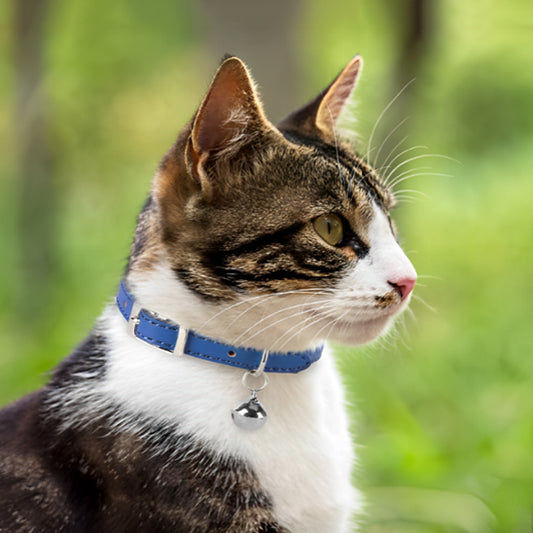 😸Collier Pour Chat Avec Clochette😸