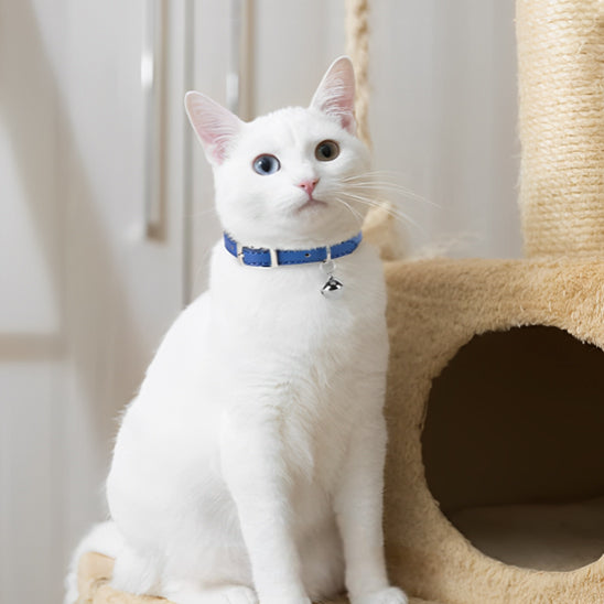 😸Collier Pour Chat Avec Clochette😸