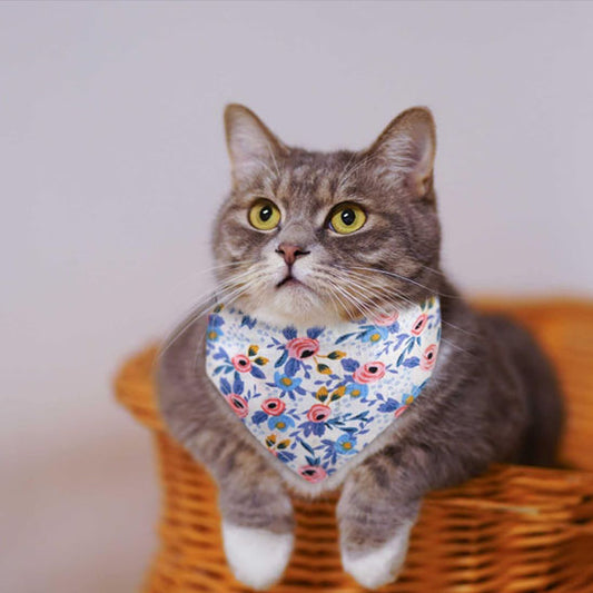 Passion Bandana™ | Collier pour chat