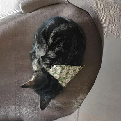 Passion Bandana™ | Collier pour chat