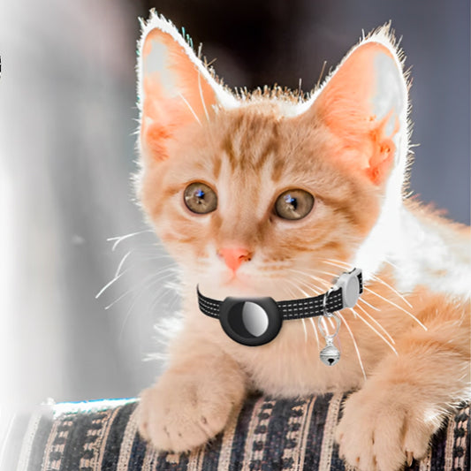 Collier avec GPS pour chat AirTag™