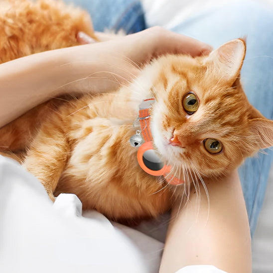 Collier avec GPS pour chat AirTag™