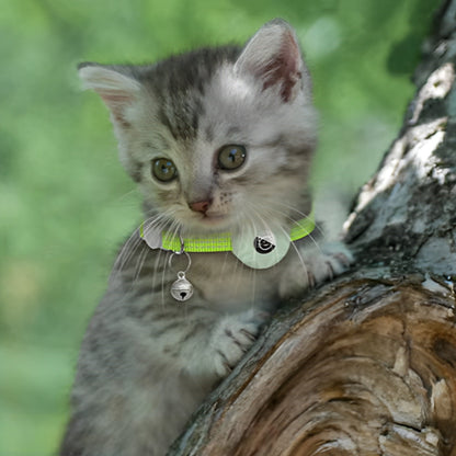 Collier avec GPS pour chat AirTag™