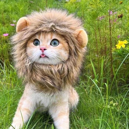 cosplay-lion-pour-chat