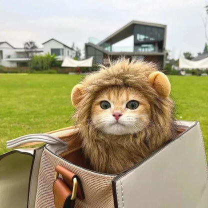 criniere-de-lion