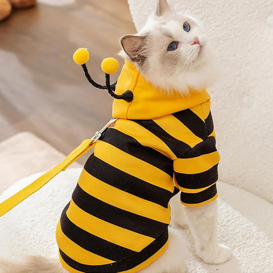 Déguisement pour chat Bzzzzz™