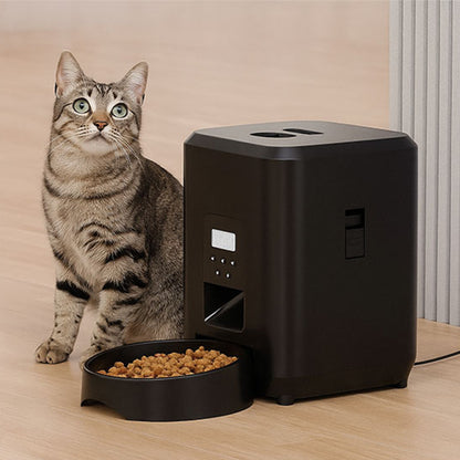 Distributeur avec minuterie | Distributeur de croquettes