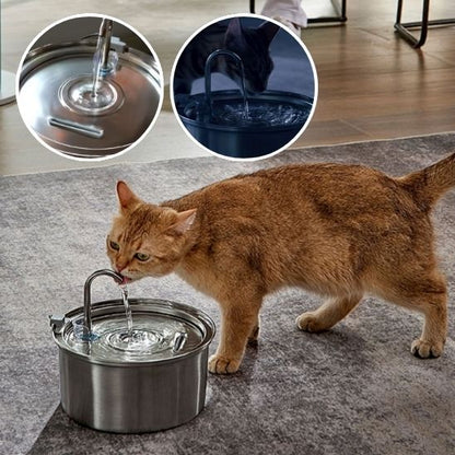 Fontaine-chat