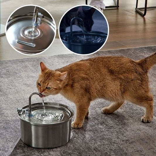 Fontaine-chat