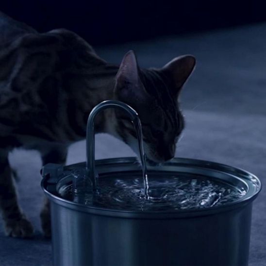 Abreuvoir-chat