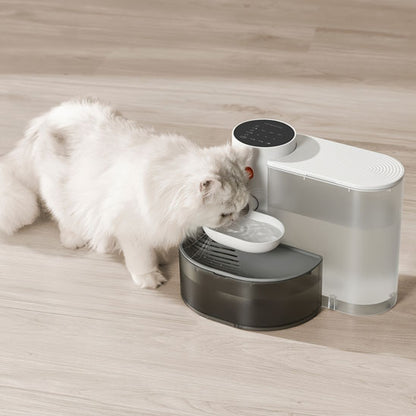 💧Fontaine intelligente Petgravity™💧