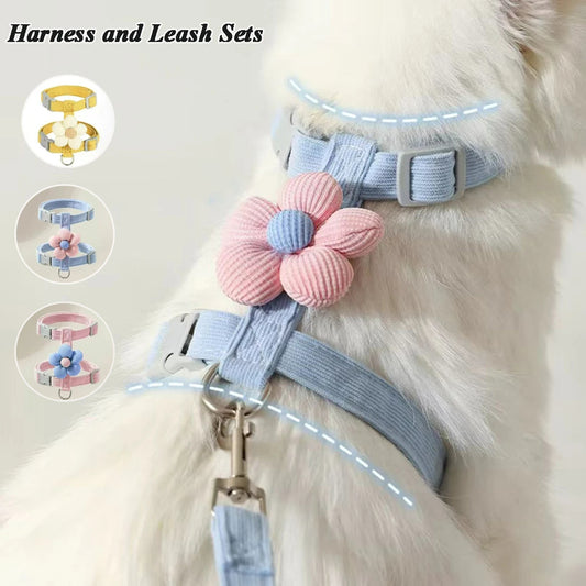 Harnais et laisse JolieFleur™ | Harnais pour chat