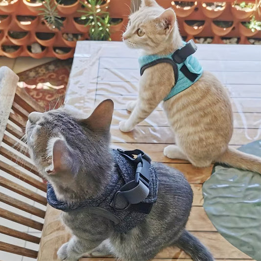 Harnais pour chaton OnTheGo™
