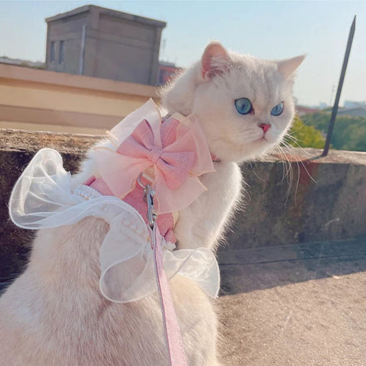 Harnais TutuBelle™ | Harnais pour chat