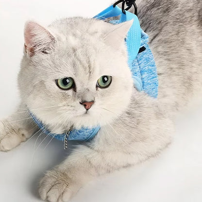 Harnais pour chaton OnTheGo™