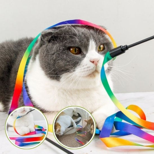 Baguette ArcEnChat™ |  Jouet pour chat