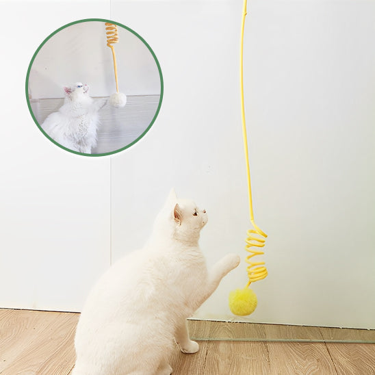 jouet-suspendu-chat