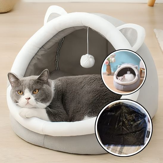 lit-pour-chat