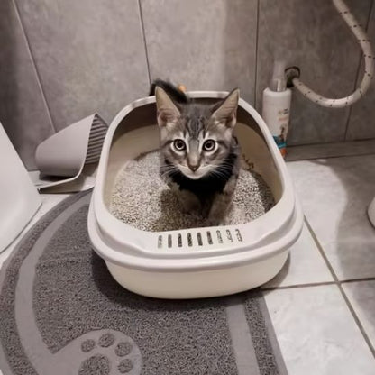 litiere-pour-chat