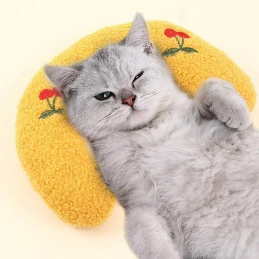 oreiller-pour-chat