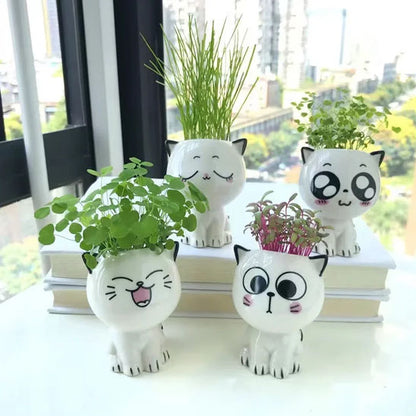 🪴Pots de fleurs Meow™🪴