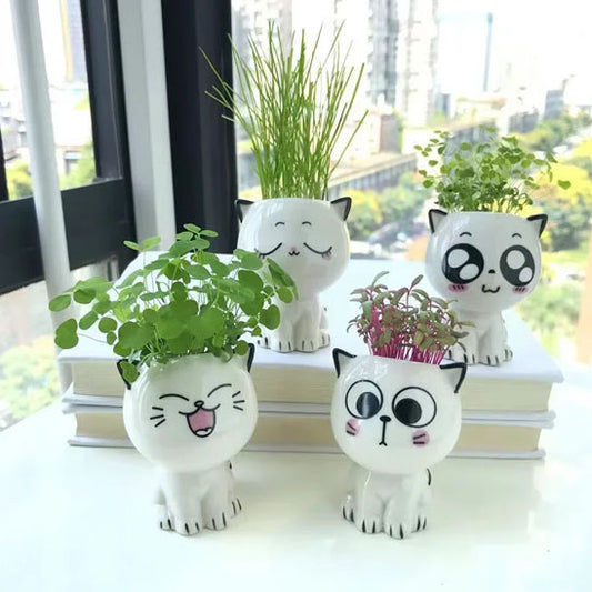 🪴Pots de fleurs Meow™🪴