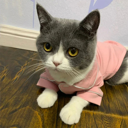 Pyjama BoDodo™ |  Vêtement pour chat
