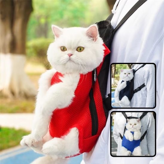 sac-de-promenade-pour-chat